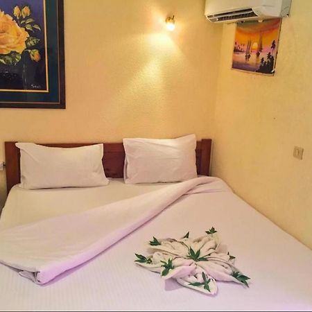 Golden Europe Hotel ダハブ エクステリア 写真